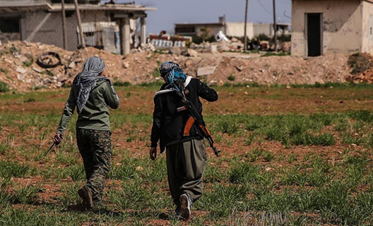 Fırat'ın doğusundaki etnik terör yapılanması
